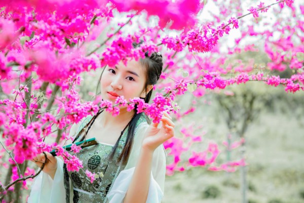 品茶在杭州,放心无仙人跳,尽享茶文化魅力 品茶在杭州,放心无仙人跳,尽享茶文化魅力